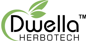 Dwella Logo 1