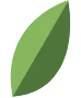 large-leaf