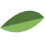 medium-leaf