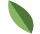 small-leaf