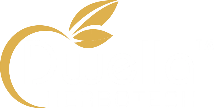Dwella Pumice Stone